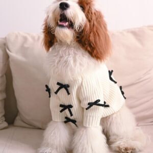 Black Bow-3D Motif Pet Sweater